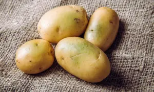 Vier frische Kartoffeln liegen auf grobem Leinen. Perfekt, um sie mit Schale zu essen und die Vitamine zu genießen.
