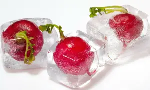 Drei rote Radieschen sind in Eiswürfeln gefroren. Das Einfrieren von Radieschen ist eine Methode zur Konservierung.