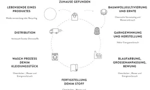 Kreislauf der Jeansherstellung: Baumwolle, Garn, Stoff, Färbung, Waschprozess, Distribution, Recycling.