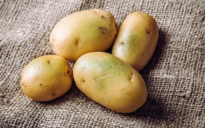 Vier frische Kartoffeln liegen auf grobem Leinen. Perfekt, um sie mit Schale zu essen und die Vitamine zu genießen.