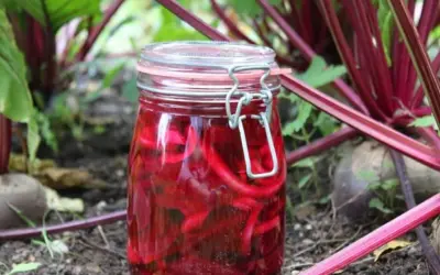 Ein Glas mit eingelegten roten Bete-Streifen steht im Beet. So gelingt rote Bete haltbar machen für den Winter.