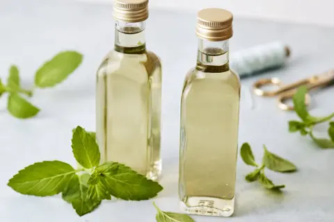 Zwei Flaschen mit selbstgemachtem Minzsirup, umgeben von frischen Minzblättern. Ein schönes Projekt für den Sommer!