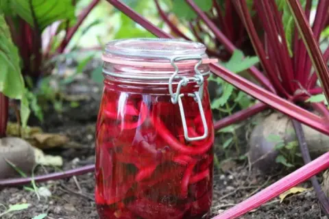 Ein Glas mit eingelegten roten Bete-Streifen steht im Beet. So gelingt rote Bete haltbar machen für den Winter.