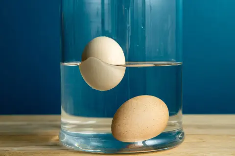Ein Ei schwebt in einem Glas Wasser, das andere liegt am Boden. Das schwebende Ei zeigt, dass es noch gut ist.
