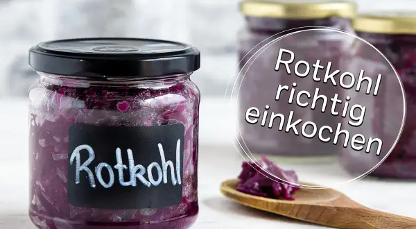 Gläser mit Rotkohl, bereit zum Rotkohl einkochen. Ein Löffel mit Rotkohl liegt daneben.