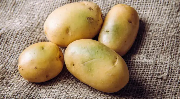 Vier frische Kartoffeln liegen auf grobem Leinen. Perfekt, um sie mit Schale zu essen und die Vitamine zu genießen.