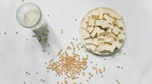 Würfel von Tofu auf einem Teller, daneben Sojabohnen und ein Glas Sojamilch. Die Frage "wie lange ist Tofu haltbar" wird durch die Zutaten aufgeworfen.
