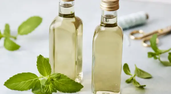 Zwei Flaschen mit selbstgemachtem Minzsirup, umgeben von frischen Minzblättern. Ein schönes Projekt für den Sommer!