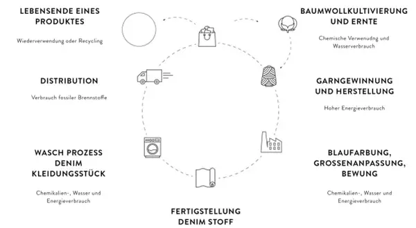 Kreislauf der Jeansherstellung: Baumwolle, Garn, Stoff, Färbung, Waschprozess, Distribution, Recycling.