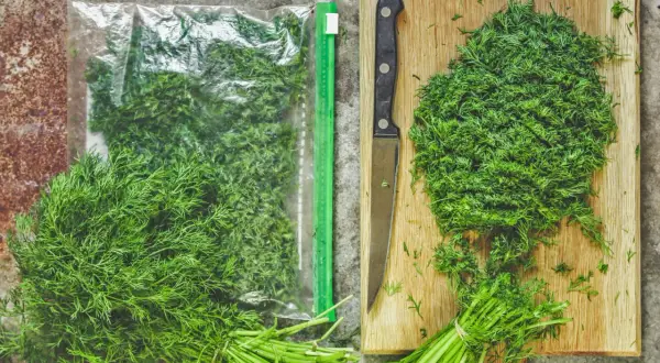 Frischer Dill wird gehackt und in einem Beutel zum **Dill trocknen** aufbewahrt. Ein Messer liegt neben dem Dill auf einem Holzbrett.