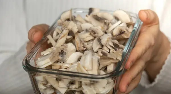 Gefrorene Champignons in einem Glasbehälter, bereit zum Einfrieren.