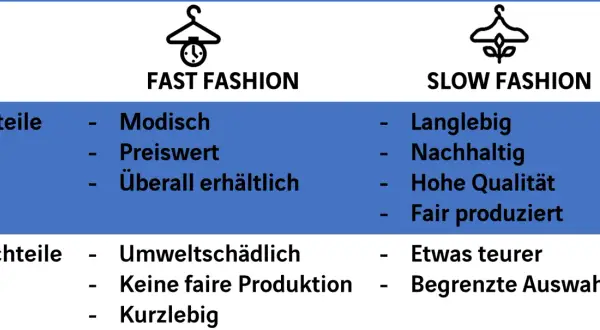 Vergleich von Fast Fashion und Slow Fashion. Fast Fashion: modisch, preiswert, überall erhältlich. Vorteile: schnell, günstig.