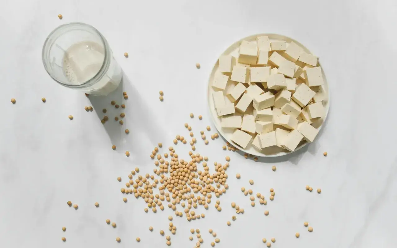 Würfel von Tofu auf einem Teller, daneben Sojabohnen und ein Glas Sojamilch. Die Frage "wie lange ist Tofu haltbar" wird durch die Zutaten aufgeworfen.
