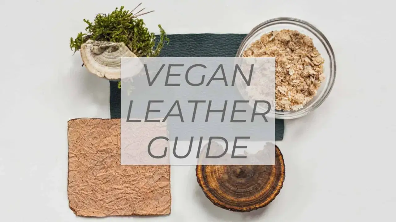 Was ist veganes Leder? Ein Leitfaden mit nat&uuml;rlichen Materialien wie Moos, Pilzen und Fasern, die f&uuml;r nachhaltige Alternativen verwendet werden.
