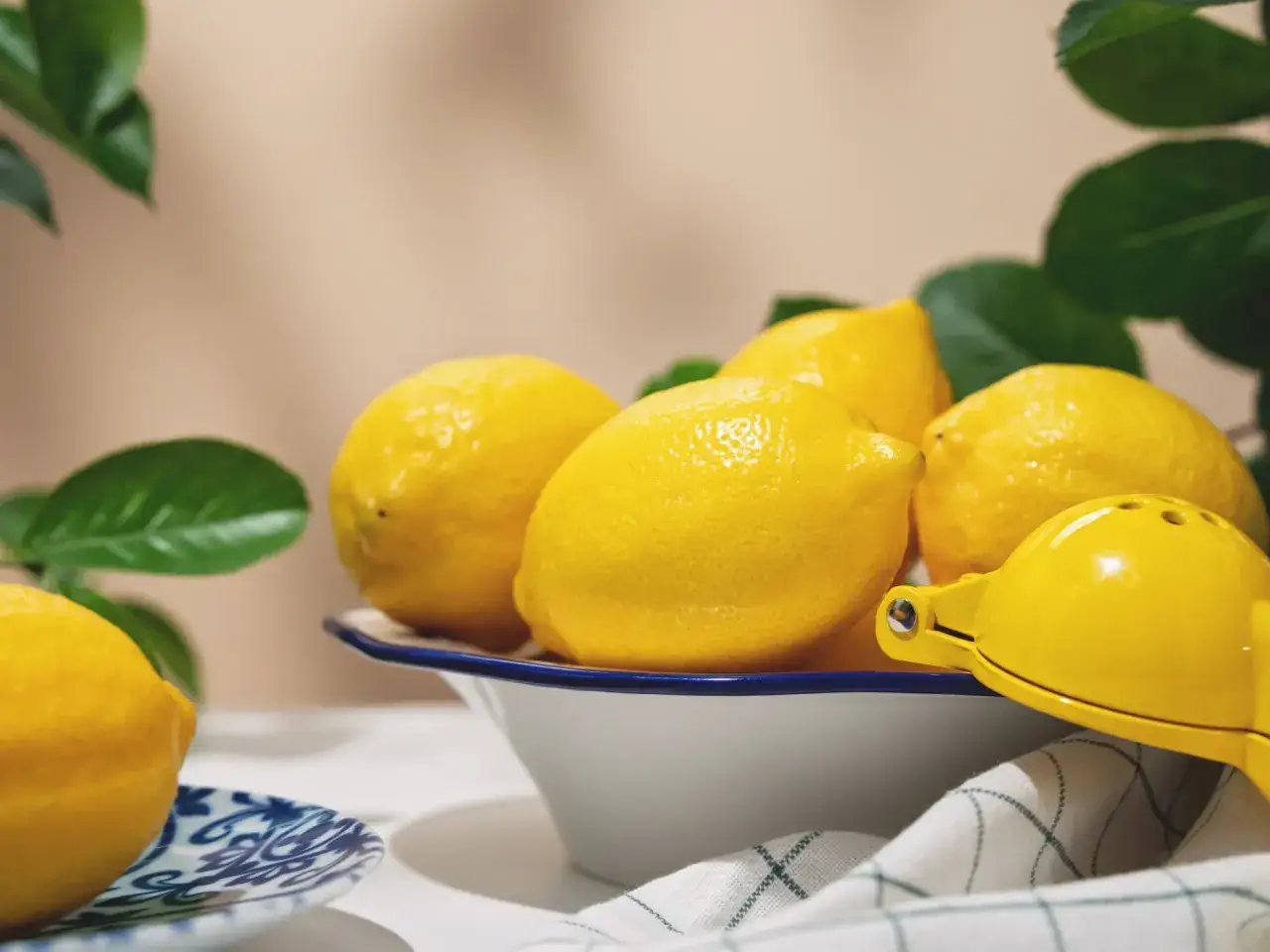 Frische Zitronen in einer Sch&uuml;ssel, bereit zum Auspressen. Ein gelber Zitruspresse liegt daneben. Perfekt, um Zitronen zu lagern und frischen Saft zu genie&szlig;en.