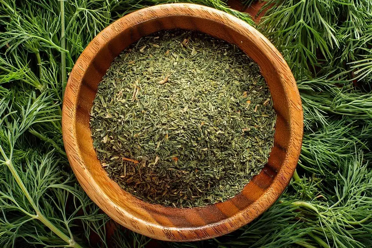 Holzschale mit getrocknetem Dill, umgeben von frischen Dillzweigen. Perfekt zum W&uuml;rzen von Speisen.