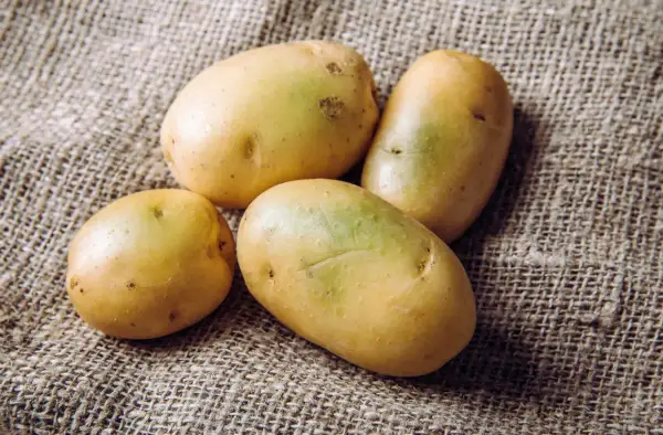 Vier frische Kartoffeln liegen auf grobem Leinen. Perfekt, um sie mit Schale zu essen und die Vitamine zu genießen.