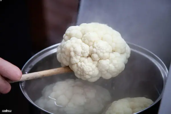 Ein Blumenkohl wird mit einem Holzlöffel aus kochendem Wasser gehoben. Das Blanchieren von Blumenkohl ist ein wichtiger Schritt.