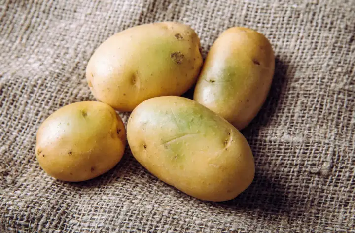 Vier frische Kartoffeln liegen auf grobem Leinen. Perfekt, um sie mit Schale zu essen und die Vitamine zu genießen.